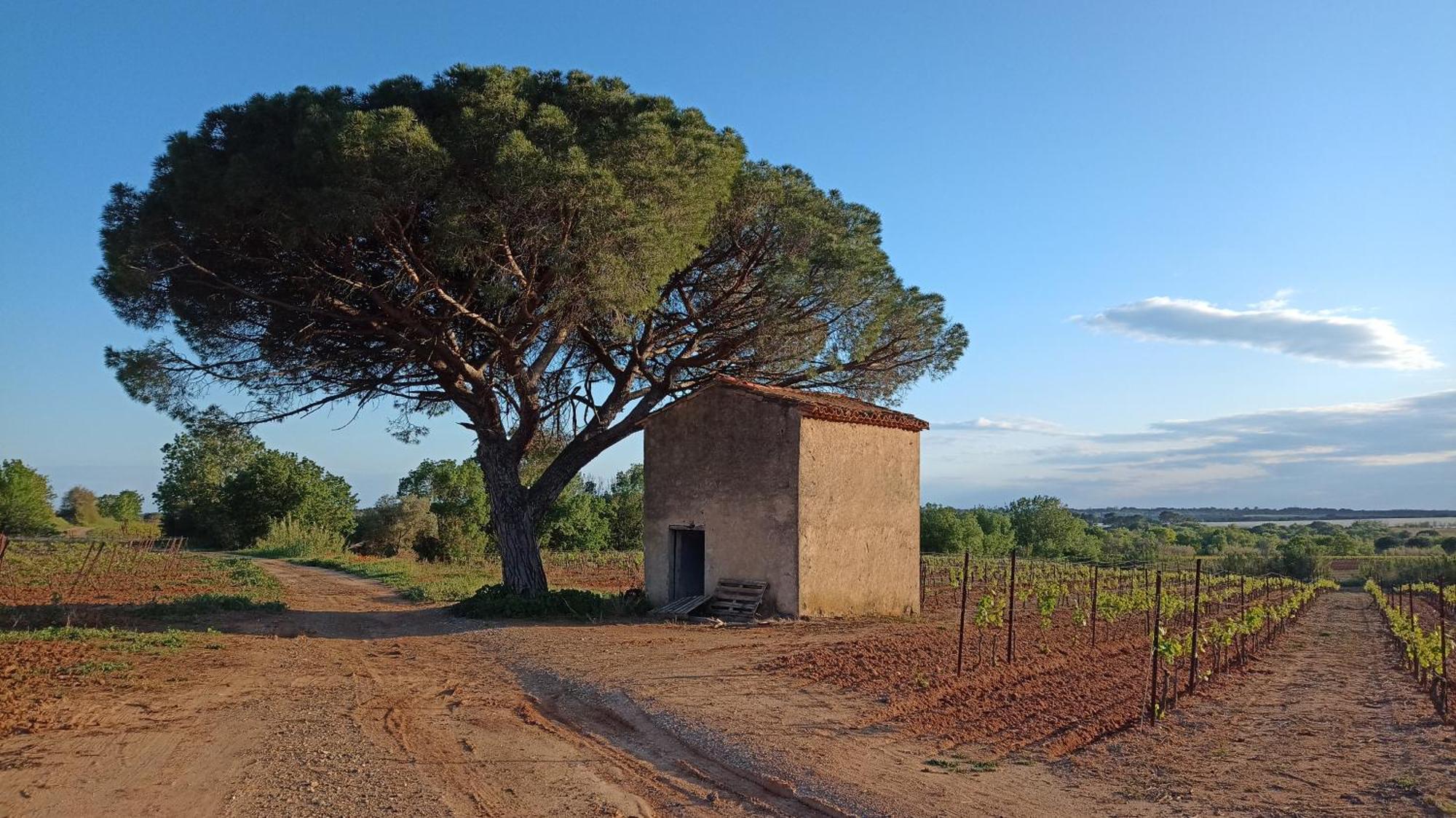 Villa Pays D'Oc Béziers Exteriér fotografie